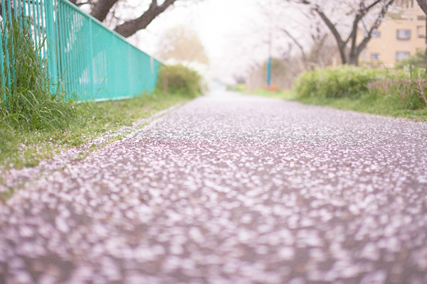 永遠なものは無いからこそ感謝出来るのかもしれません