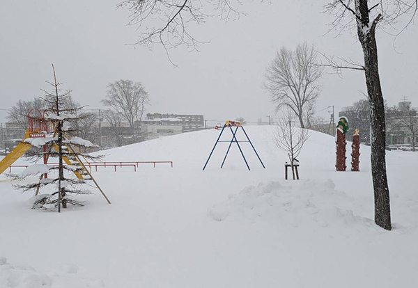 札幌にも本格的に冬到来！