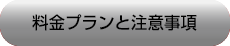 料金プランと注意事項