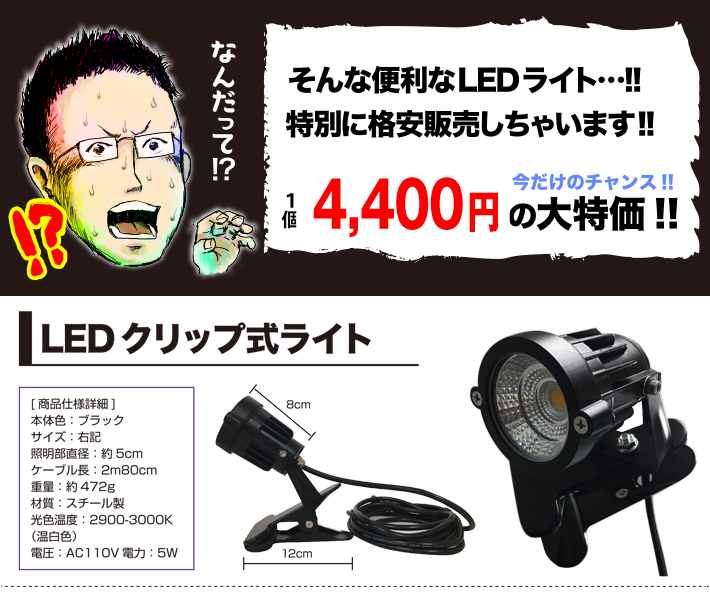 2800円の大特価販売